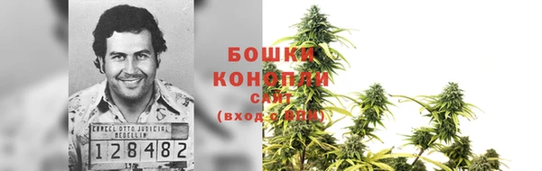 гидропоника Алексеевка